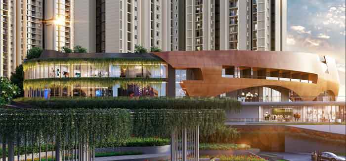 Purva Northern Lights