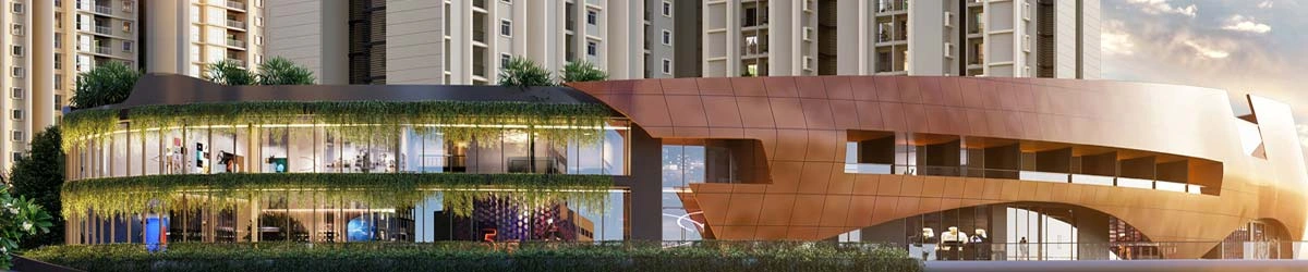 Purva Northern Lights