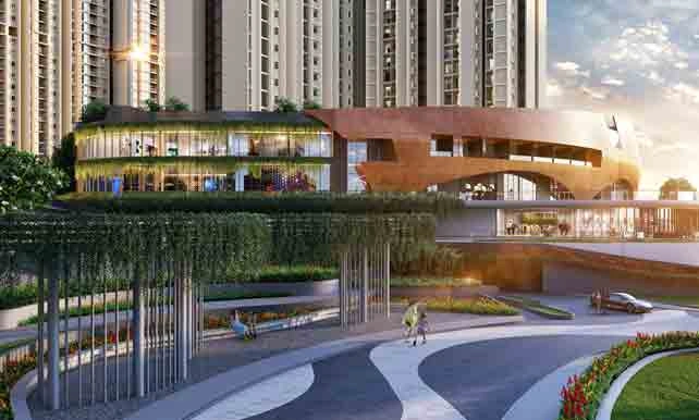 Purva Northern Lights