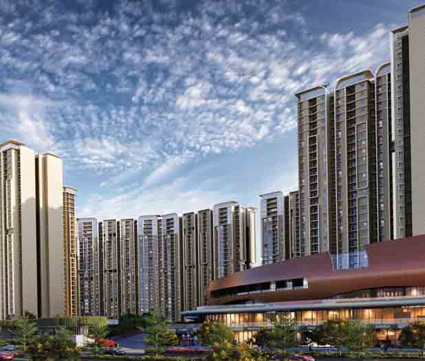 Purva Northern Lights